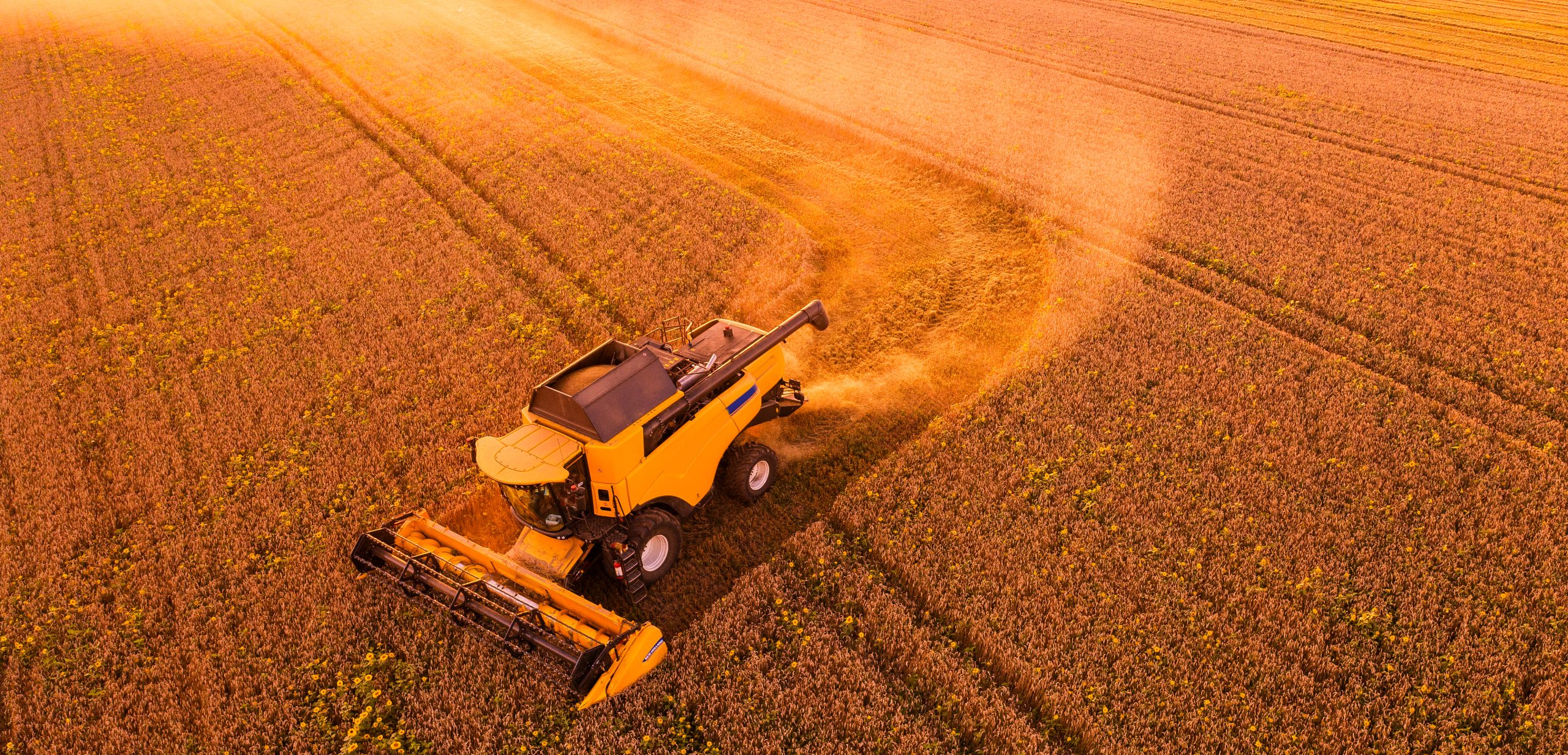 Kharif Crop cover image showing a vibrant Indian farmland landscape during harvest season, with lush rice and corn fields, farmers working in the background, and a clear sky symbolising record production and strong agricultural output for 2025.
