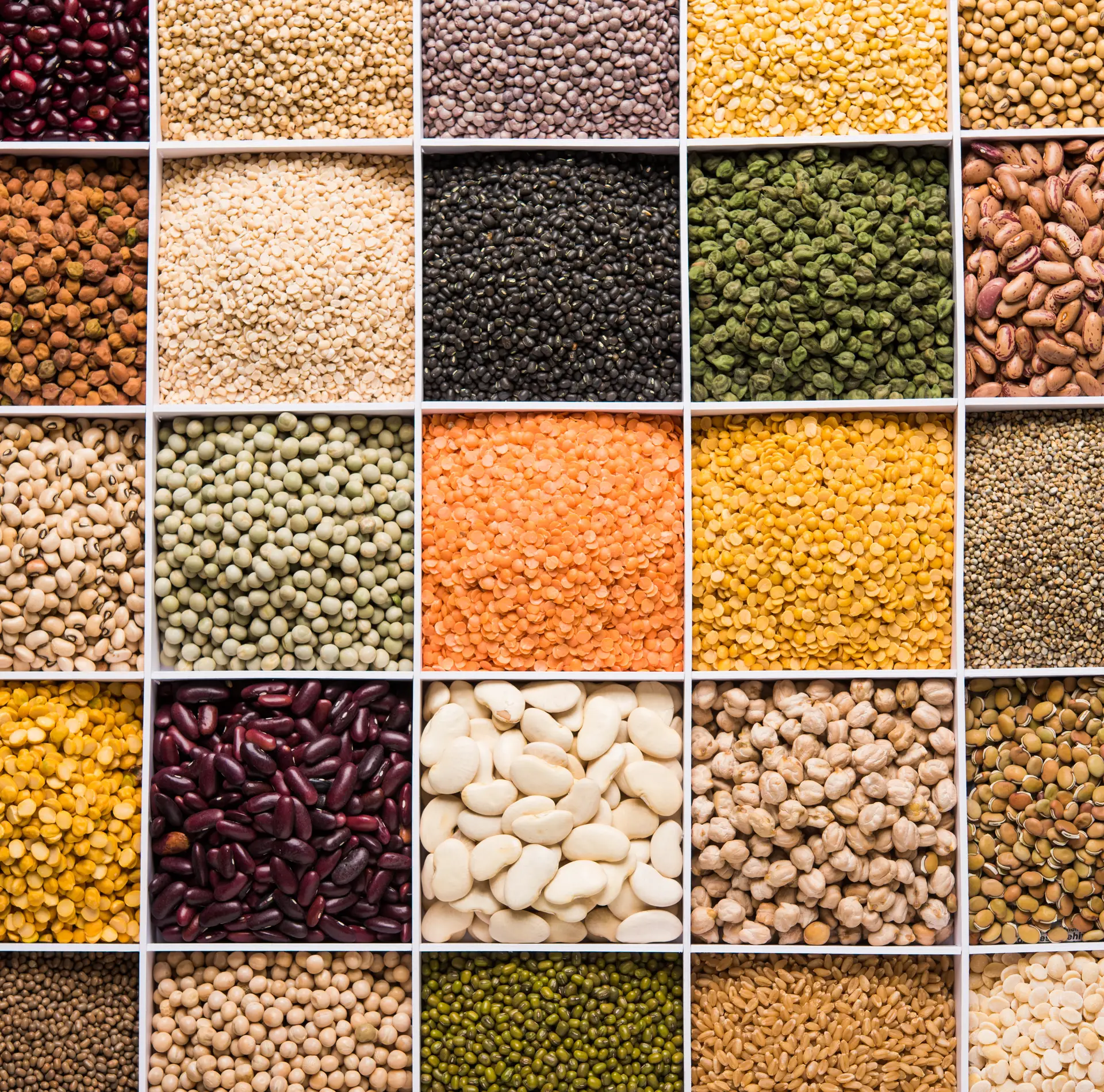 Pulse Market Dynamics: 5 Key Ways Russia's Strategic Pricing Drives Global Trading Success