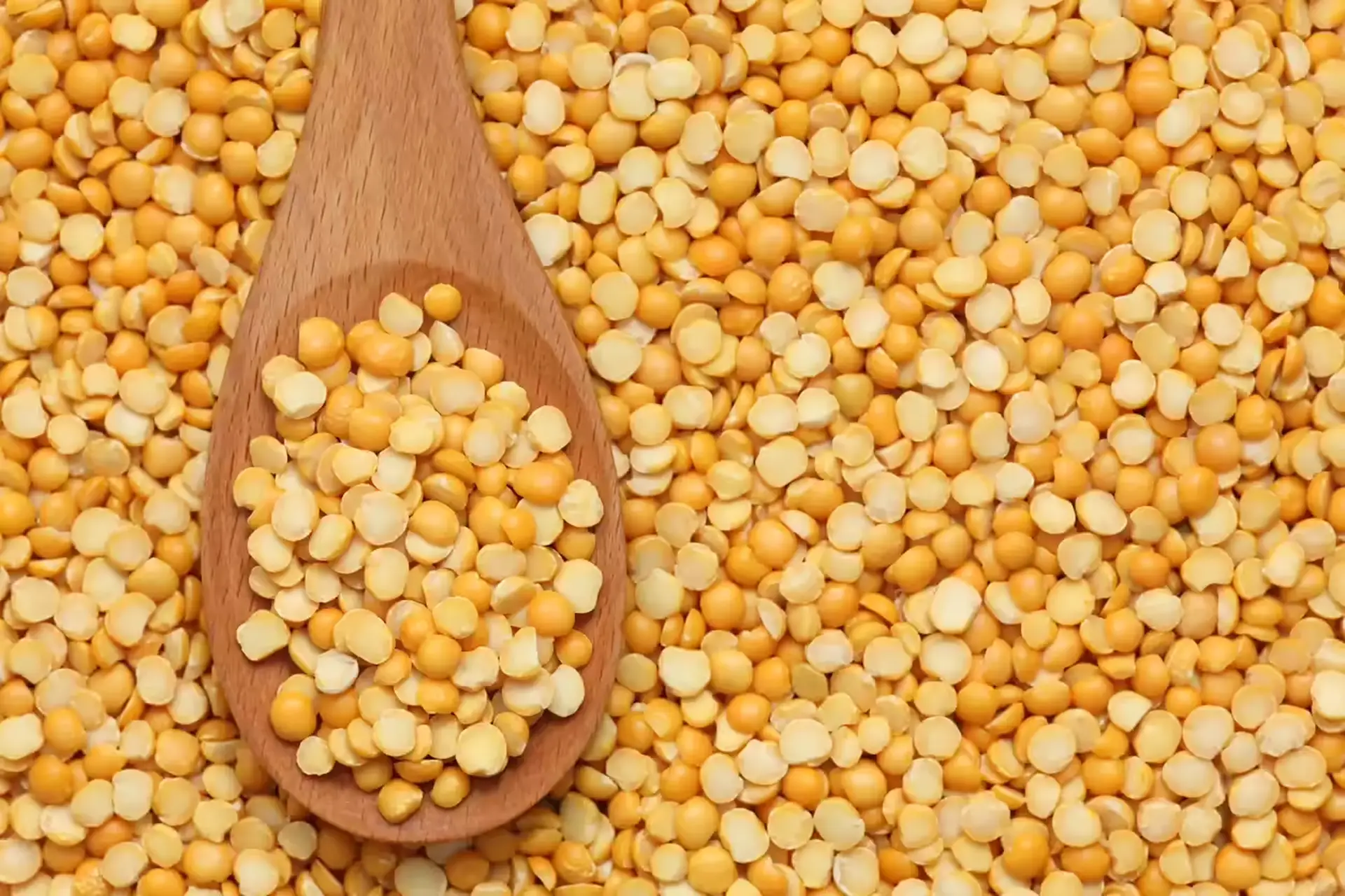 Yellow peas market trends analysis showing global pulse trading dynamics and agricultural commodities pricing strategies across major export origins including Russia and Canada