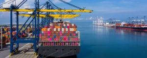 Marine Export Resilience: How India Overcame US Tariffs Through Smart Diversification