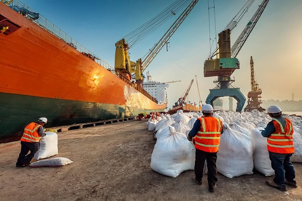 Bangladesh Wheat Imports Surging 42% Signals Bullish Demand Shift