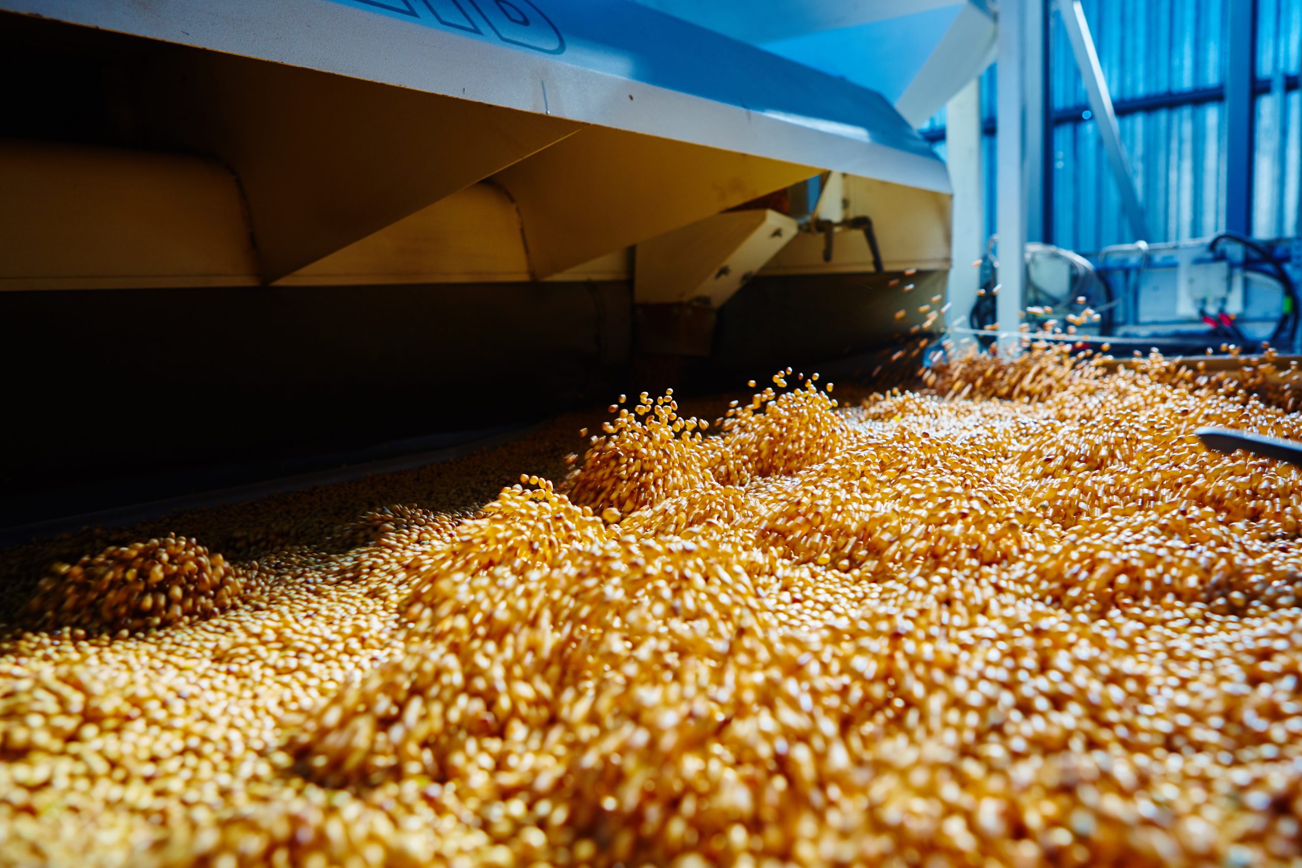 Global Soybean Market: Origins, Trade Flows, and Price Drivers