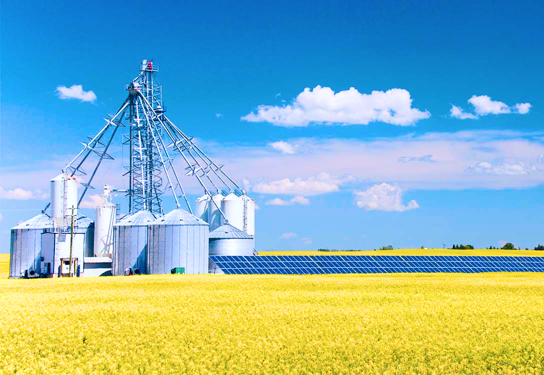 Canadian Agriculture Export Diversification Signals $44B Bullish Opportunity