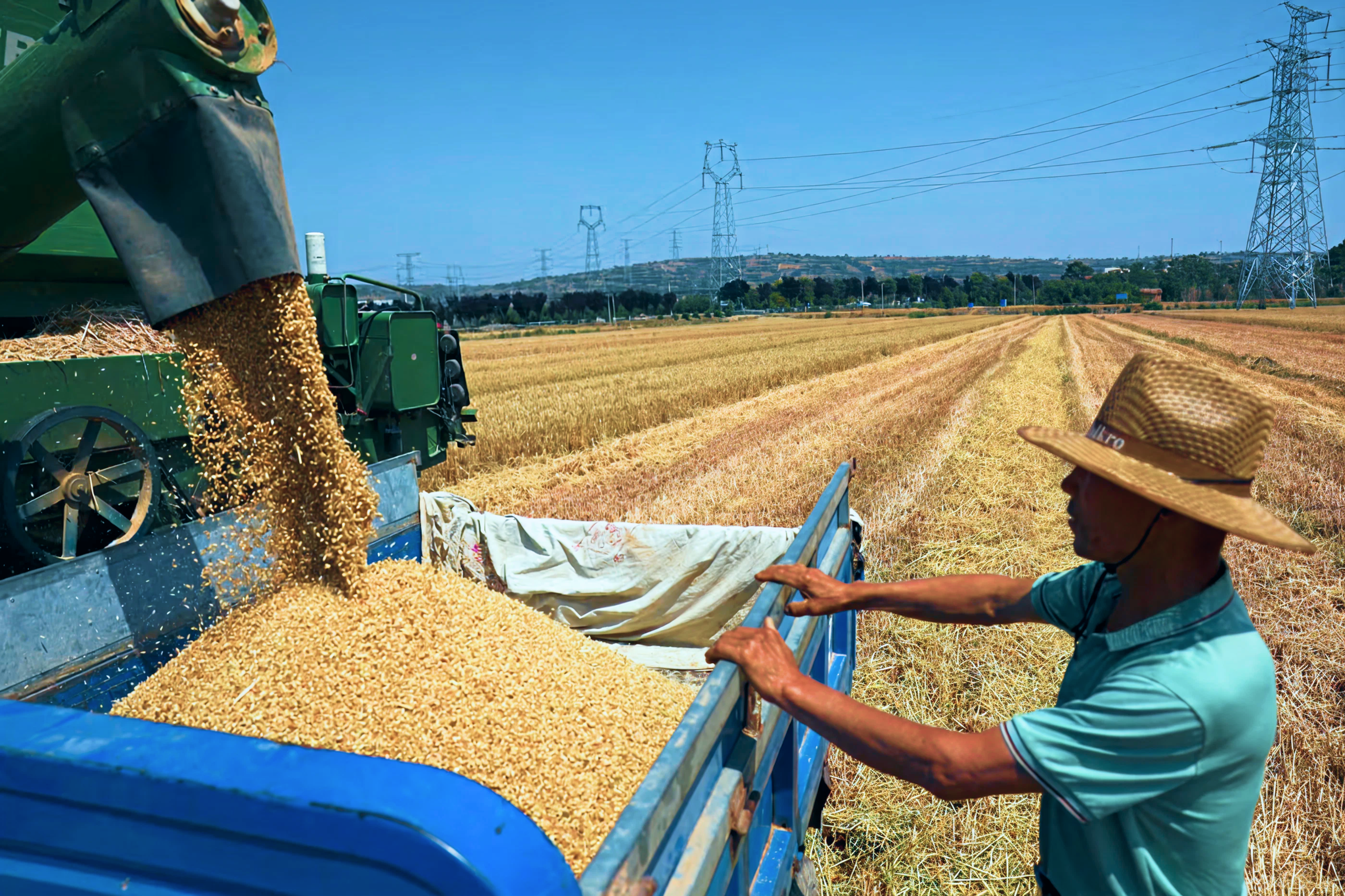 Plant Prebiotics Build Bullish Case in $3B Soil Input Market