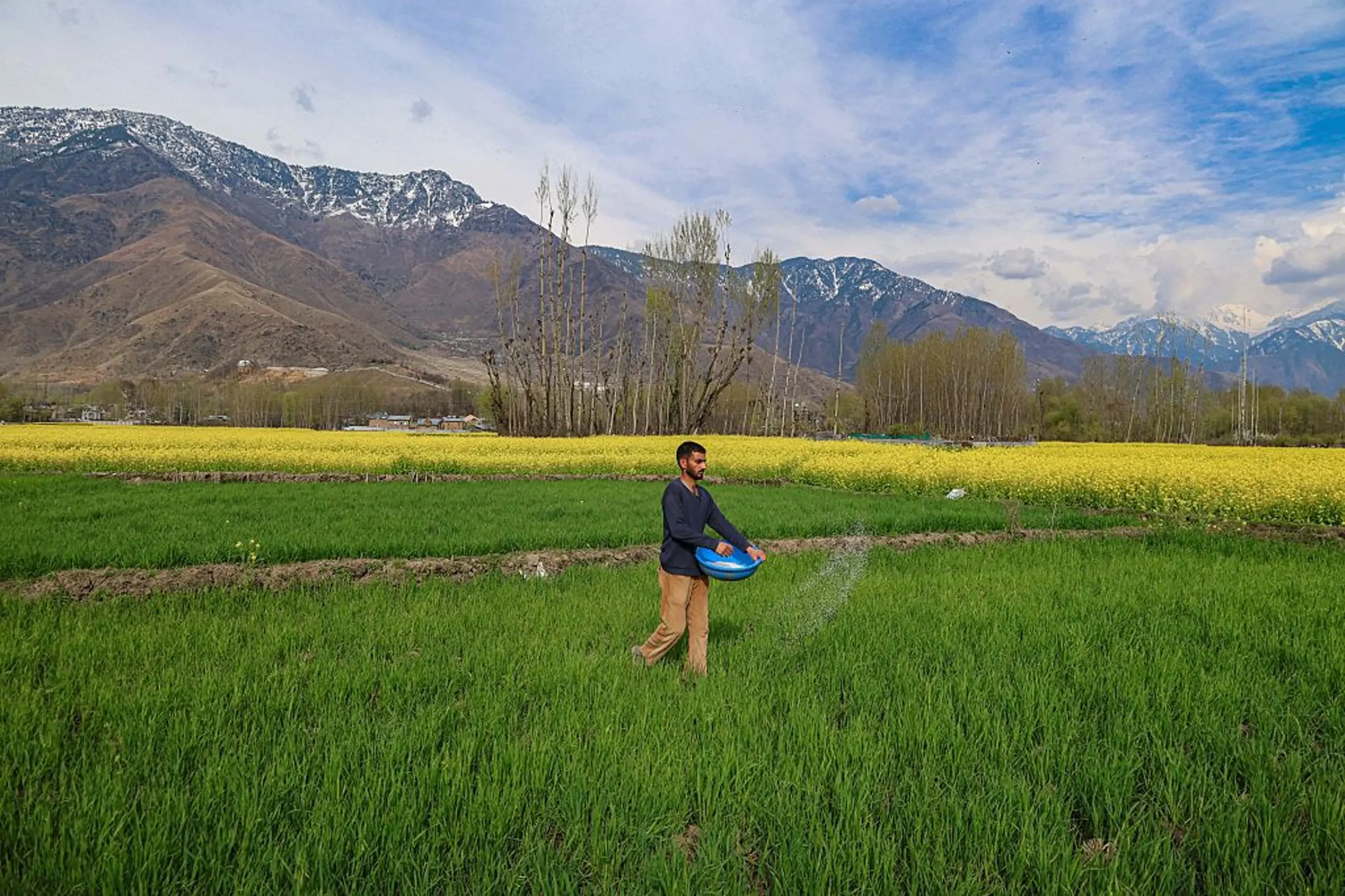 Fertilizer Supply Crisis Signals Bearish 40% Yield Risk