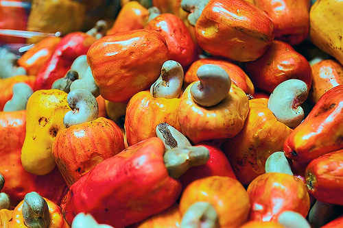 Cashew Prices Signal Bullish Recovery as RCN Tightens