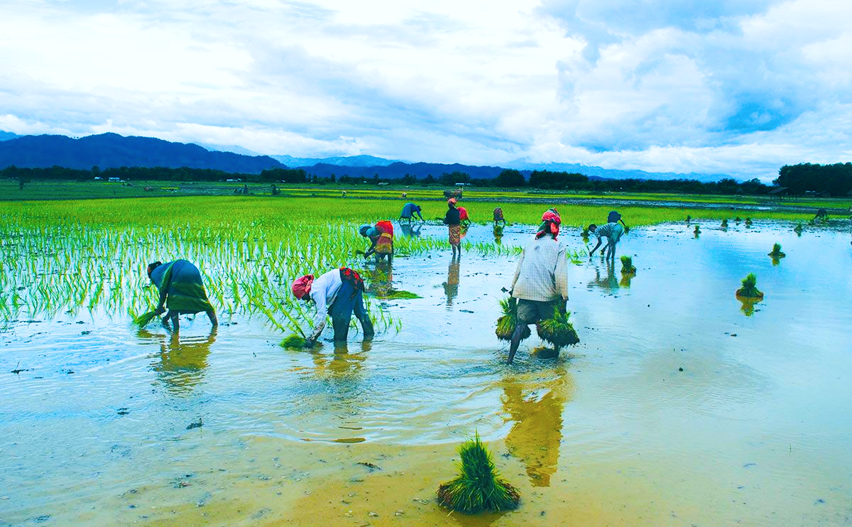 Indian Monsoon Risks Building Bearish 90% Rainfall Hit