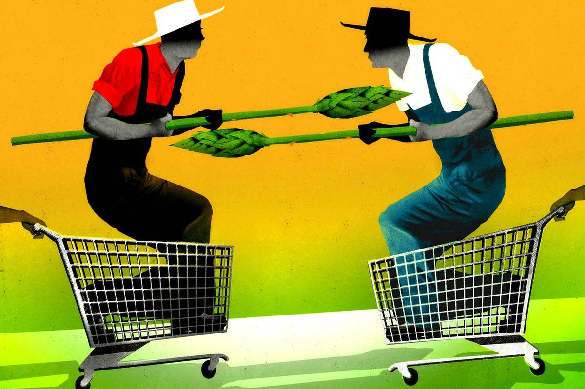 The Business Behind Organic Food: Production Costs, Trade and Consumer Demand