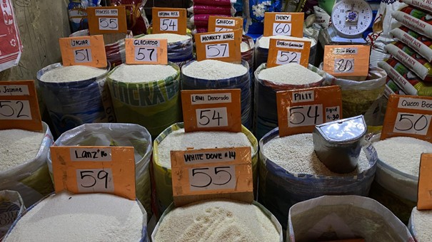 What Actually Determines The Price Of Rice?