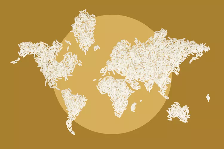The World Rice Map: Where It Is Grown, Traded And Needed Most